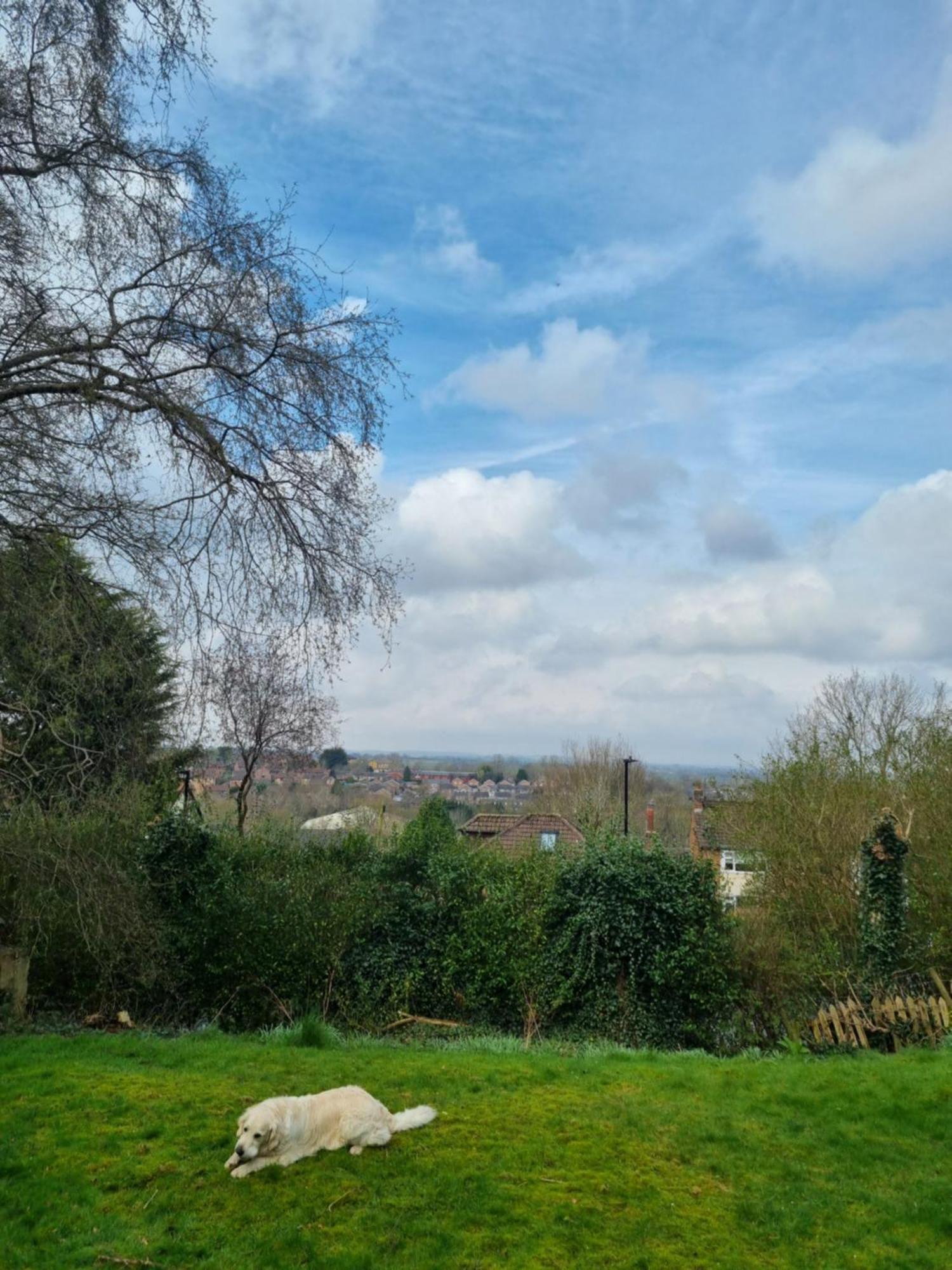 Halcyon Daire Harrogate Dış mekan fotoğraf