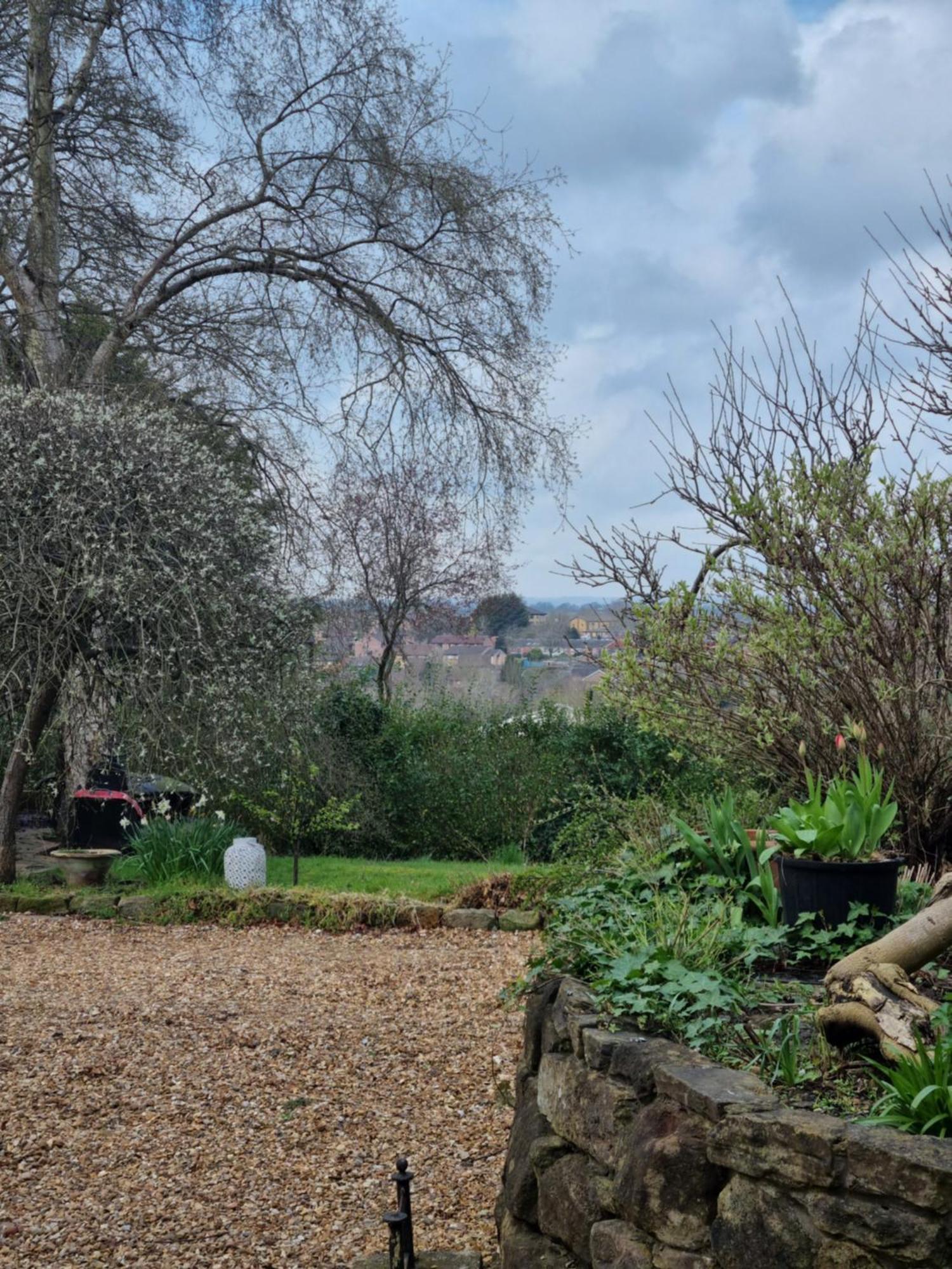Halcyon Daire Harrogate Dış mekan fotoğraf